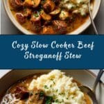 Slow Cooker Beef Stroganoff Stew Recipe