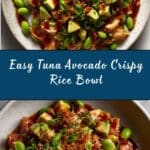 Tuna Avocado Crispy Rice Salad Recipe
