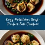 Potsticker Soup Recipe