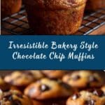 Bakery Style Chocolate Chip Muffins Recipe
