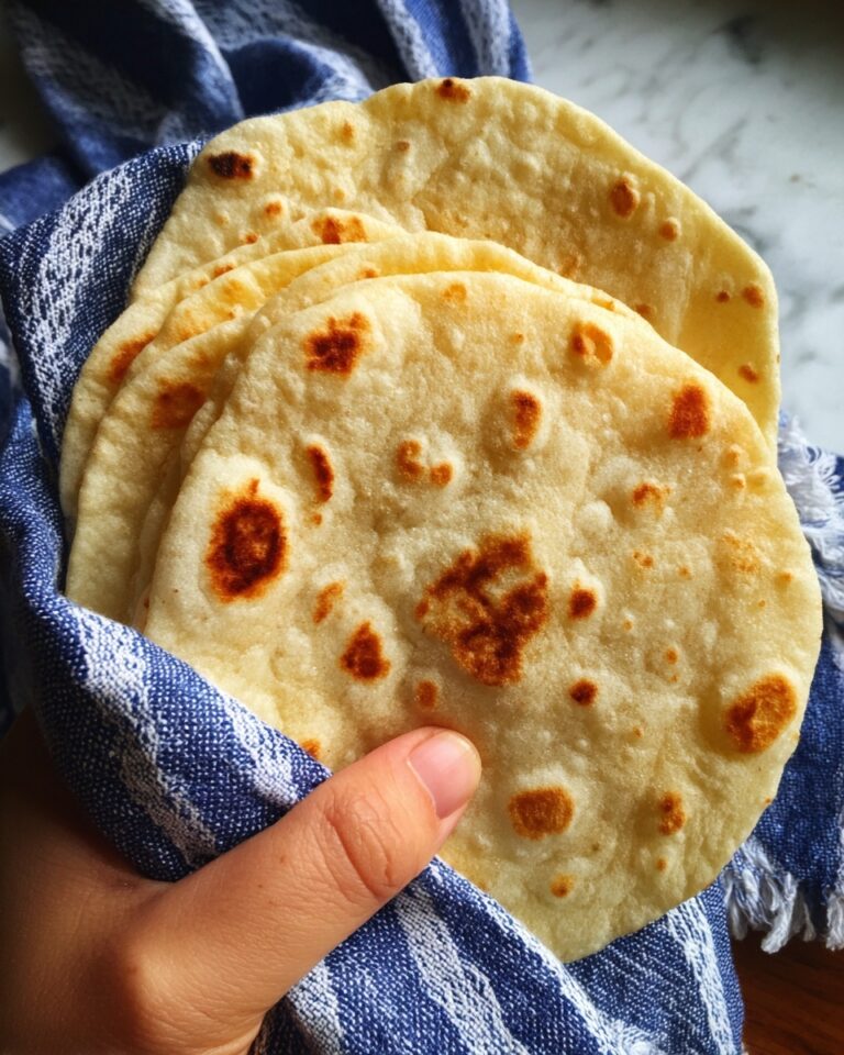 Easy Corn Tortillas Recipe