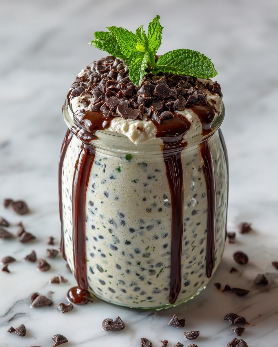 Mint Chocolate Chip Overnight Oats Recipe - Recipe Image