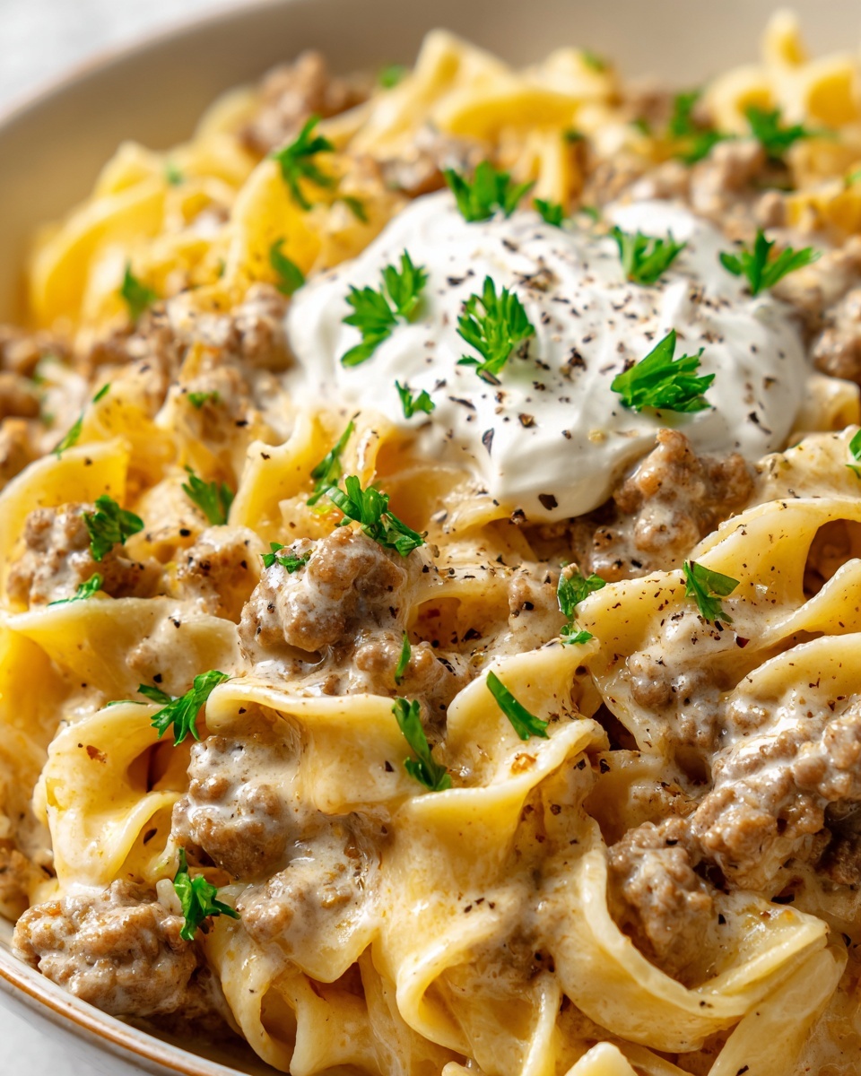 Sour Cream Beef Noodle Casserole Recipe - Recipe Image