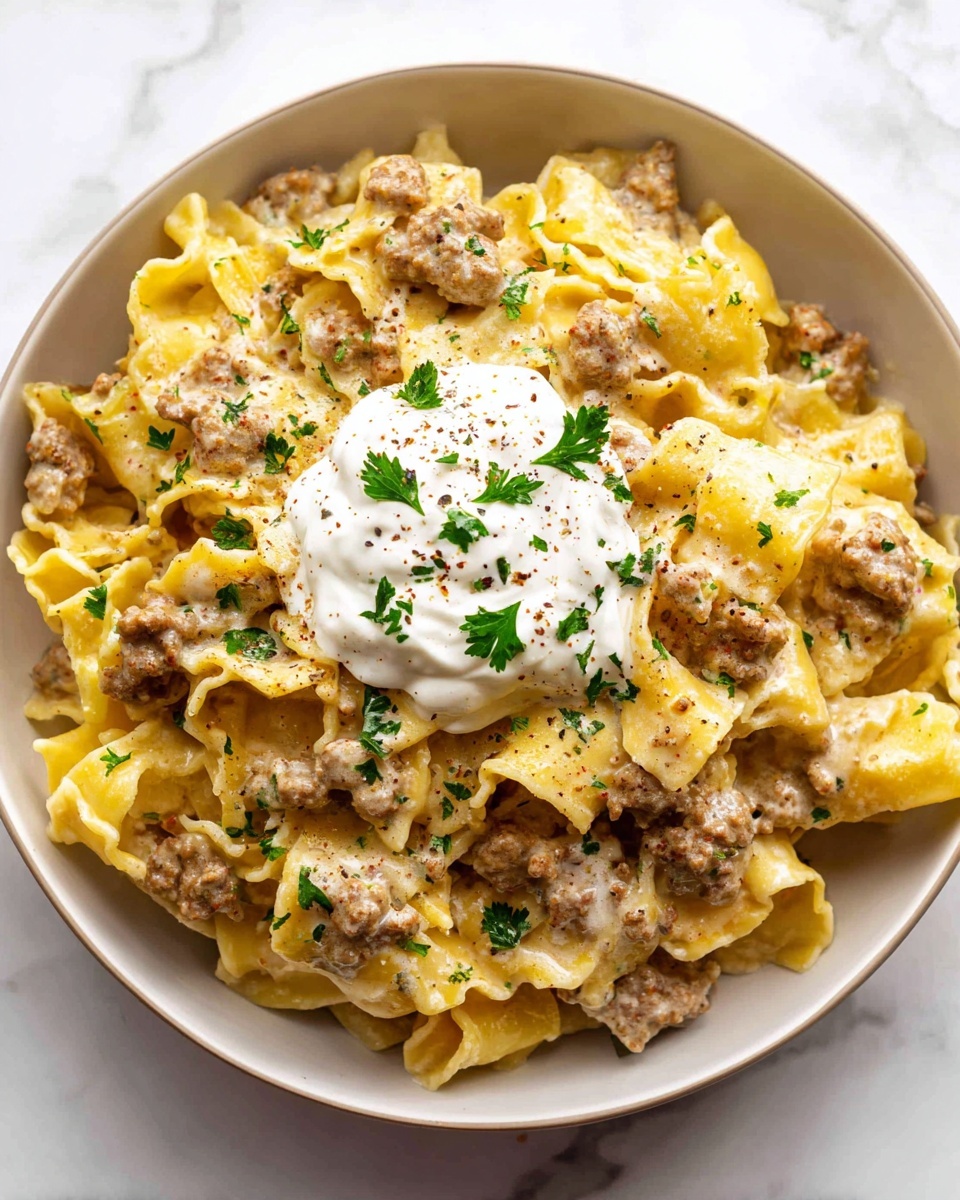 Sour Cream Beef Noodle Casserole Recipe - Recipe Image