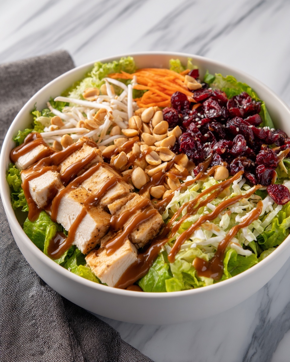 Asian Chicken Cranberry Salad Recipe - Recipe Image